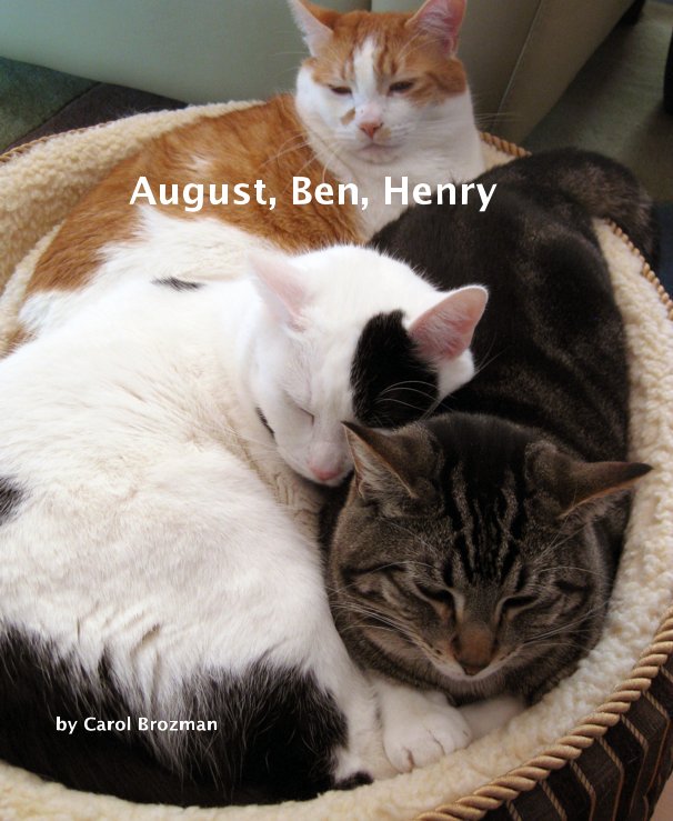 View August, Ben, Henry by Carol Brozman