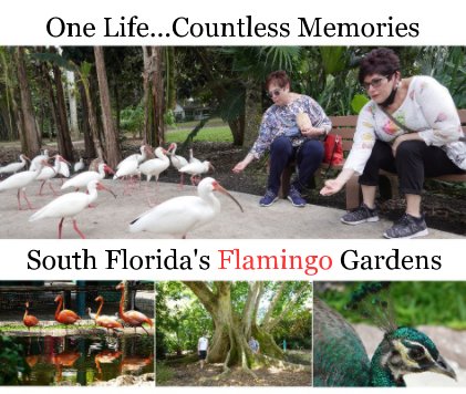 South Florida's Flamingo Gardens book cover