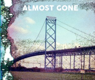 Almost Gone book cover