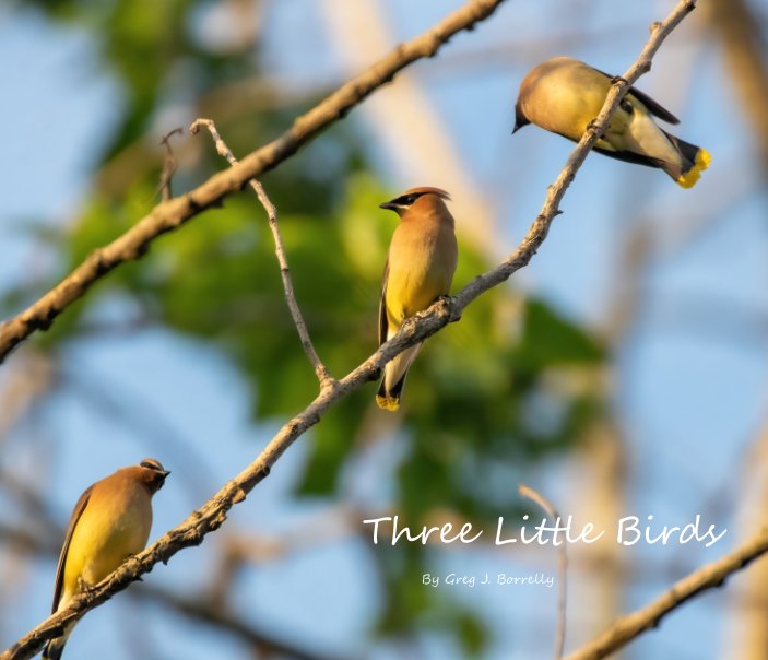 View Three Little Birds by Greg J. Borrelly