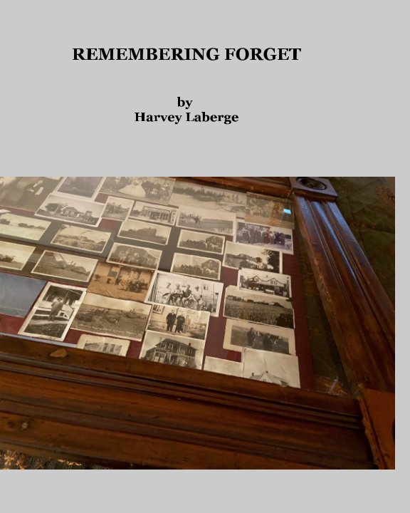 View Remembering Forget by Harvey Laberge