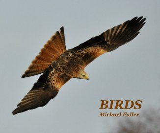 BIRDS book cover