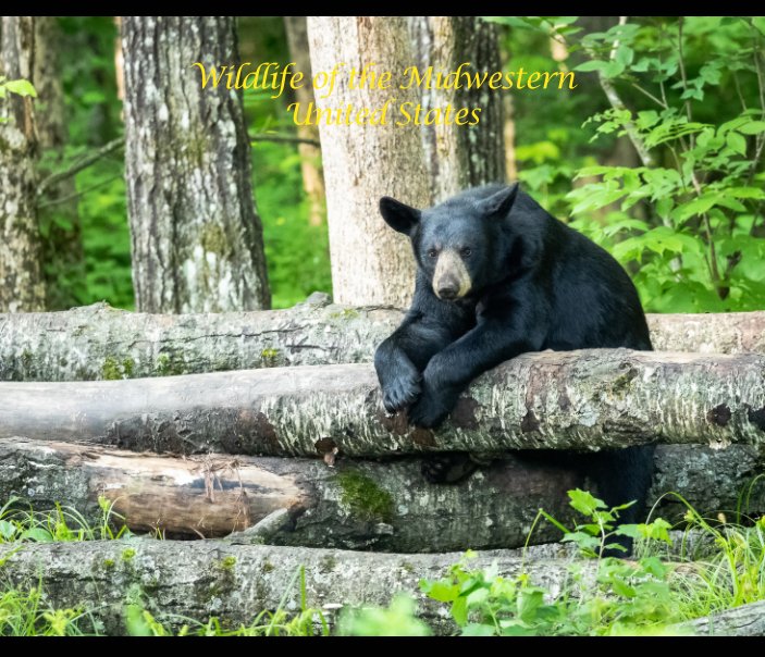 Bekijk Wildlife of the Midwestern United States op Mary Jo Cox