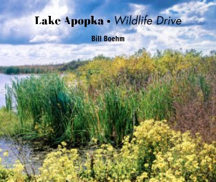 Lake Apopka in Color book cover
