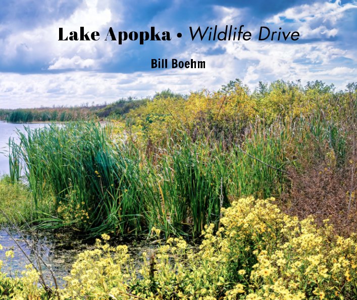 Ver Lake Apopka in Color por Bill Boehm