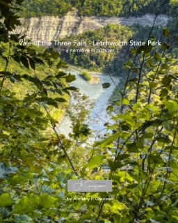Vale of the Three Falls - Letchworth State Park book cover
