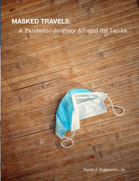 Masked Travels book cover