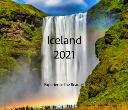 Iceland 2021 book cover