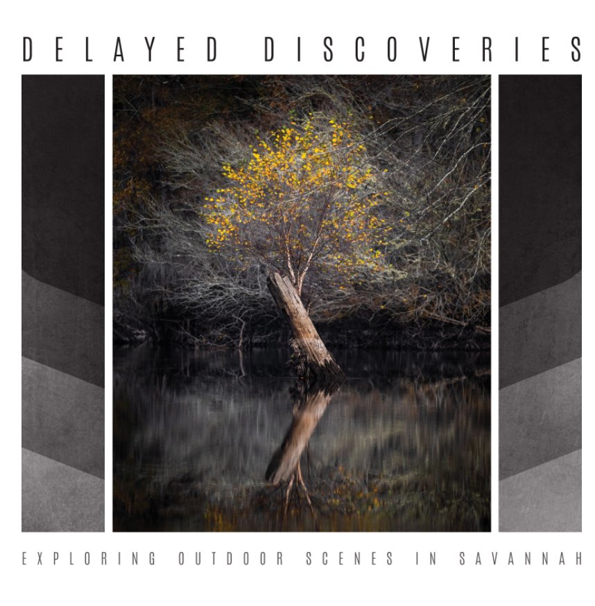 View Delayed Discoveries - Hardcover by Luke Rovner