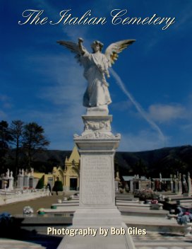 The Italian Cemetery book cover