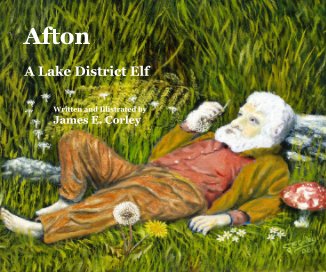 Afton book cover