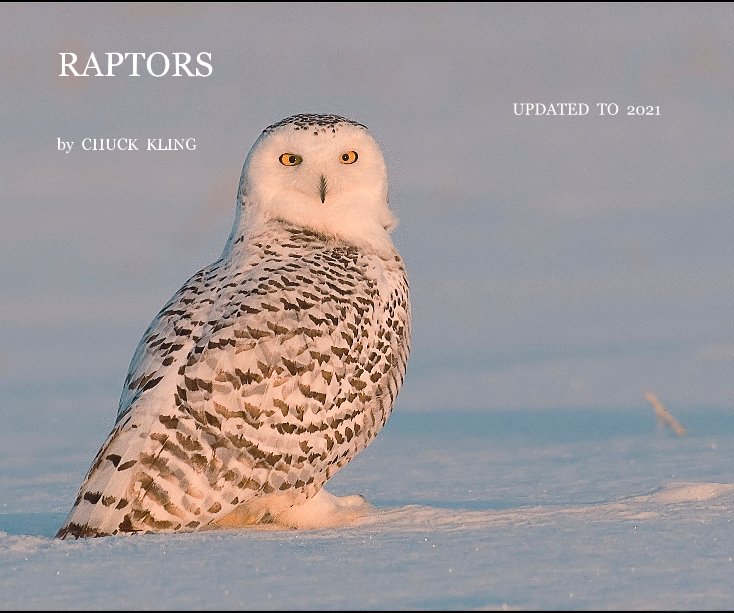 View RaptorsRAPTORS by CHUCK KLING