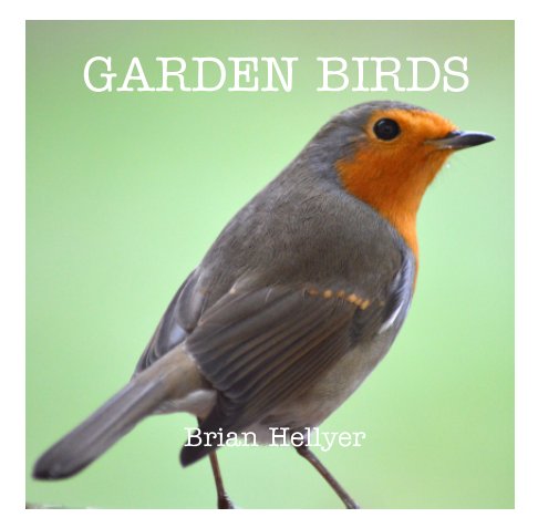 View Garden Birds by Brian Hellyer
