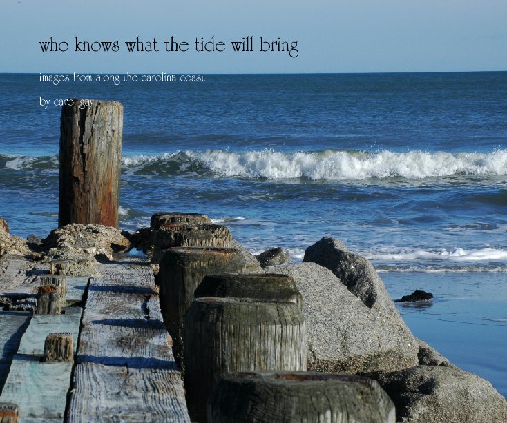 View who knows what the tide will bring by carol gay