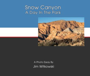 Snow Canyon book cover