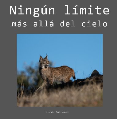Ningún límite más allá del cielo book cover