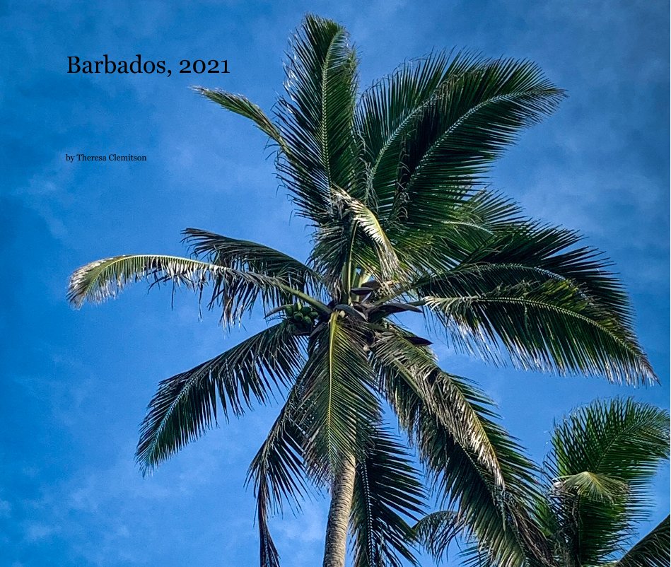Ver Barbados, 2021 por Theresa Clemitson