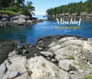 Mischief—stays in Washington 2021 book cover