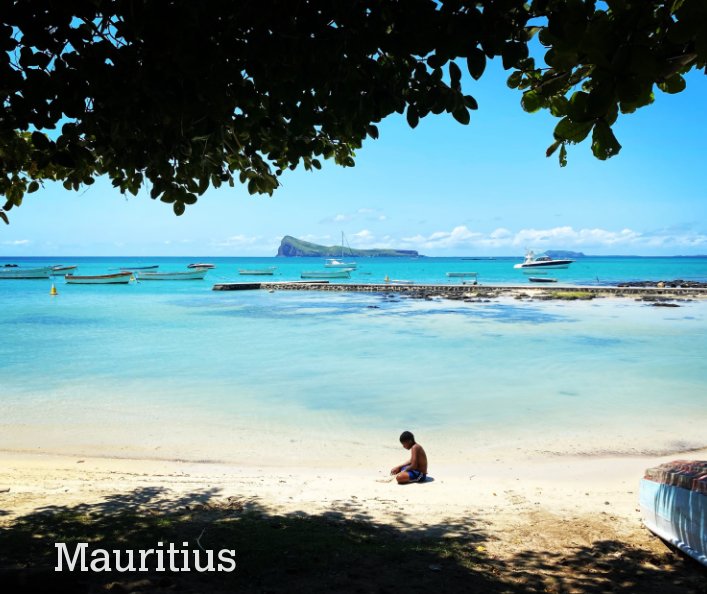 View Mauritius by Michael Nelson