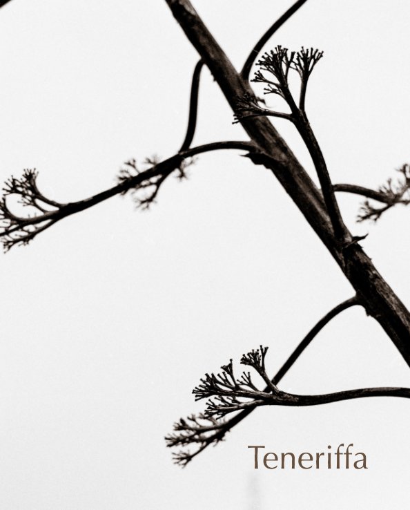 View Teneriffa by Marcus Helfrich