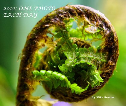 2021: One Photo Each Day book cover
