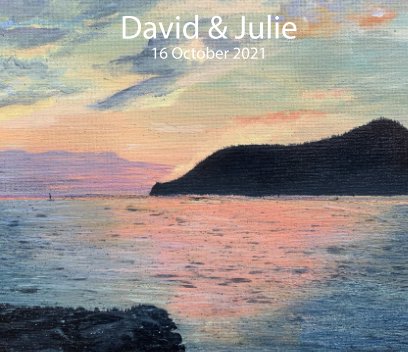 David and Julie book cover