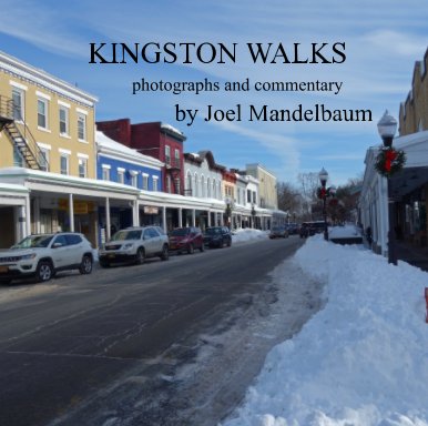 Walks in Kngston book cover
