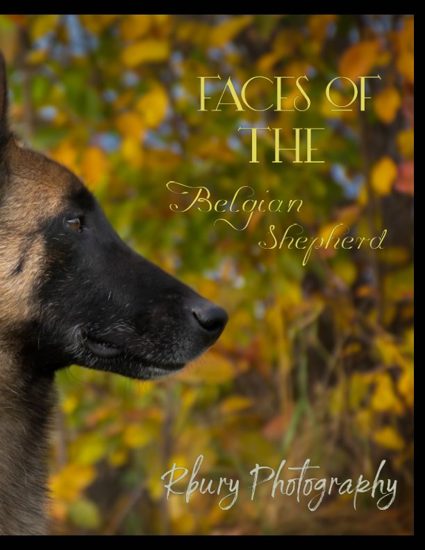 Bekijk Faces of the Belgain Shepherd op RBury Photography