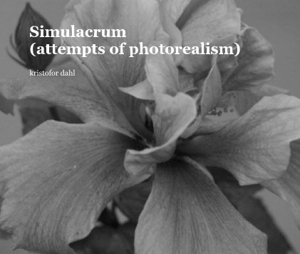 Simulacrum 
(attempts of photorealism) book cover