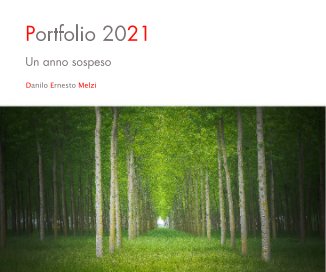 Portfolio 2021 book cover