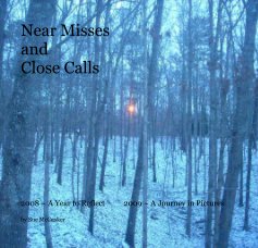 Near Misses and Close Calls book cover