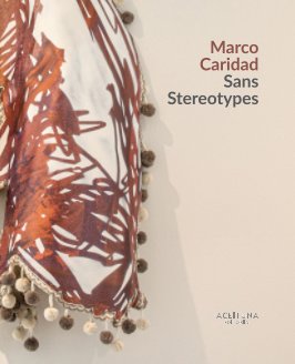 Sans Stereotypes book cover