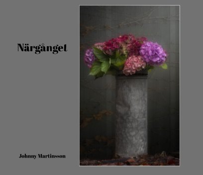 Närgånget book cover