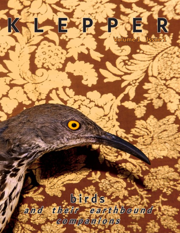 Ver Birds and Their Earthbound Companions por E. DAN KLEPPER