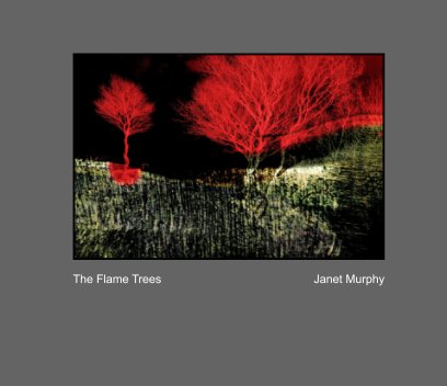 The Flame Trees book cover