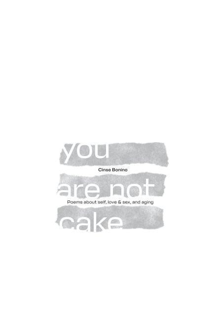 View you are not cake by Cinse Bonino