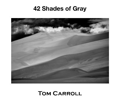42 Shades of Gray book cover