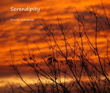 Serendipity book cover