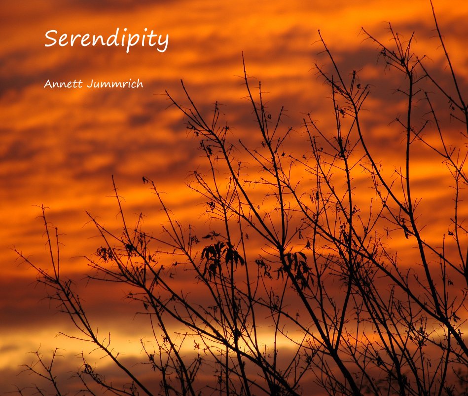 Ver Serendipity por Annett Jummrich