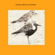 Shore Birds and Waders book cover
