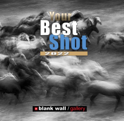 View Your Best Shot 2022 by Blank Wall Gallery
