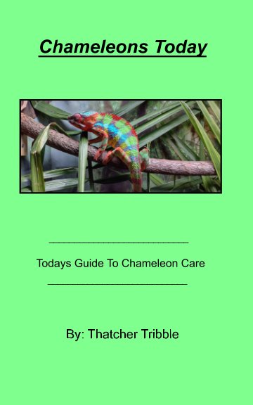 View Chameleons Today by Thatcher Tribble