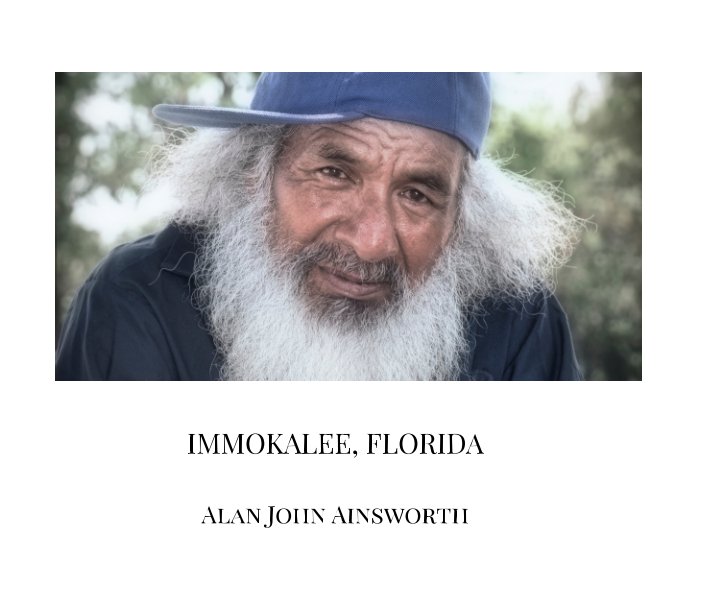 View Immokolee, Florida by Alan John Ainsworth