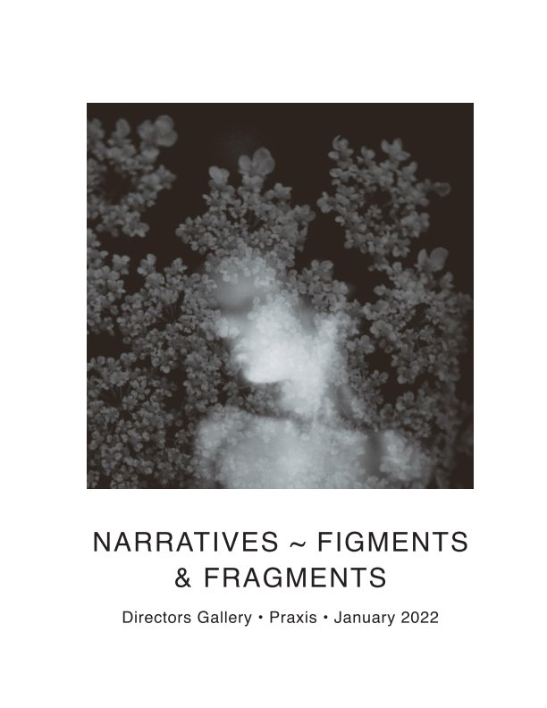 View Narratives ~ Figments and Fragments by Praxis Gallery