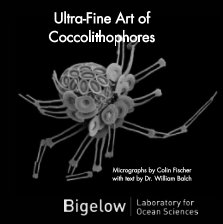 Ultra-Fine Art of Coccolithophores book cover
