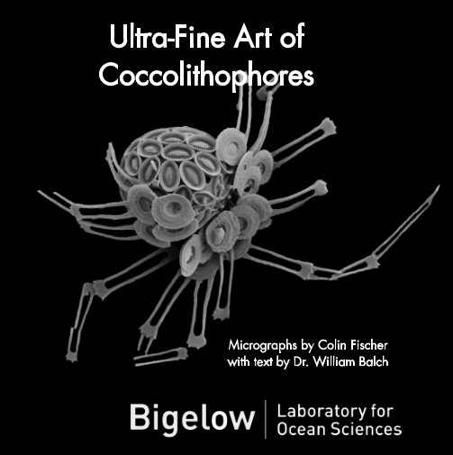Bekijk Ultra-Fine Art of Coccolithophores op Colin Fischer, William Balch