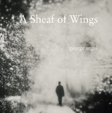 A Sheaf of Wings book cover