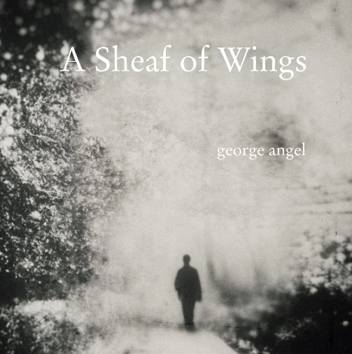 View A Sheaf of Wings by George Angel, Diane Powers