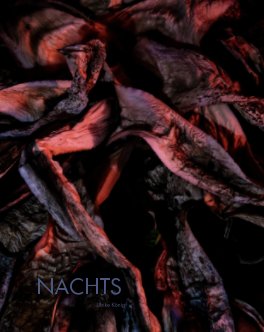 Nachts book cover