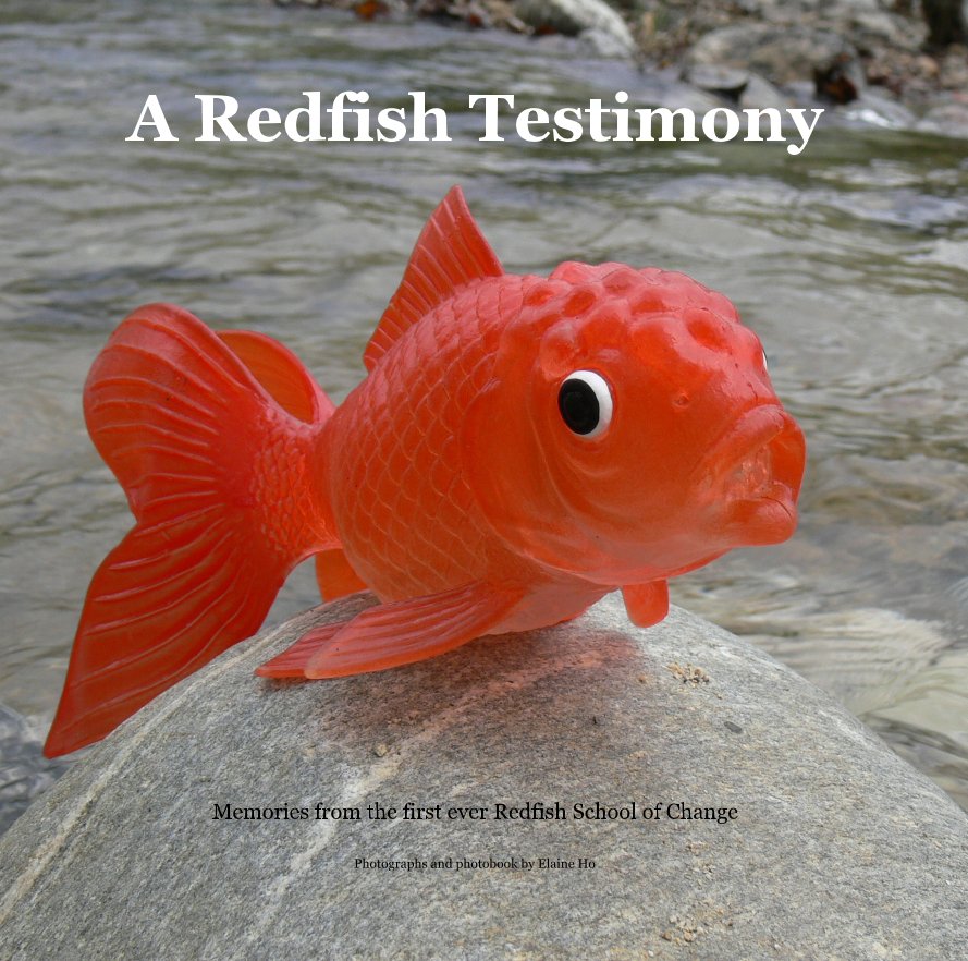 View A Redfish Testimony by Photographs and photobook by Elaine Ho